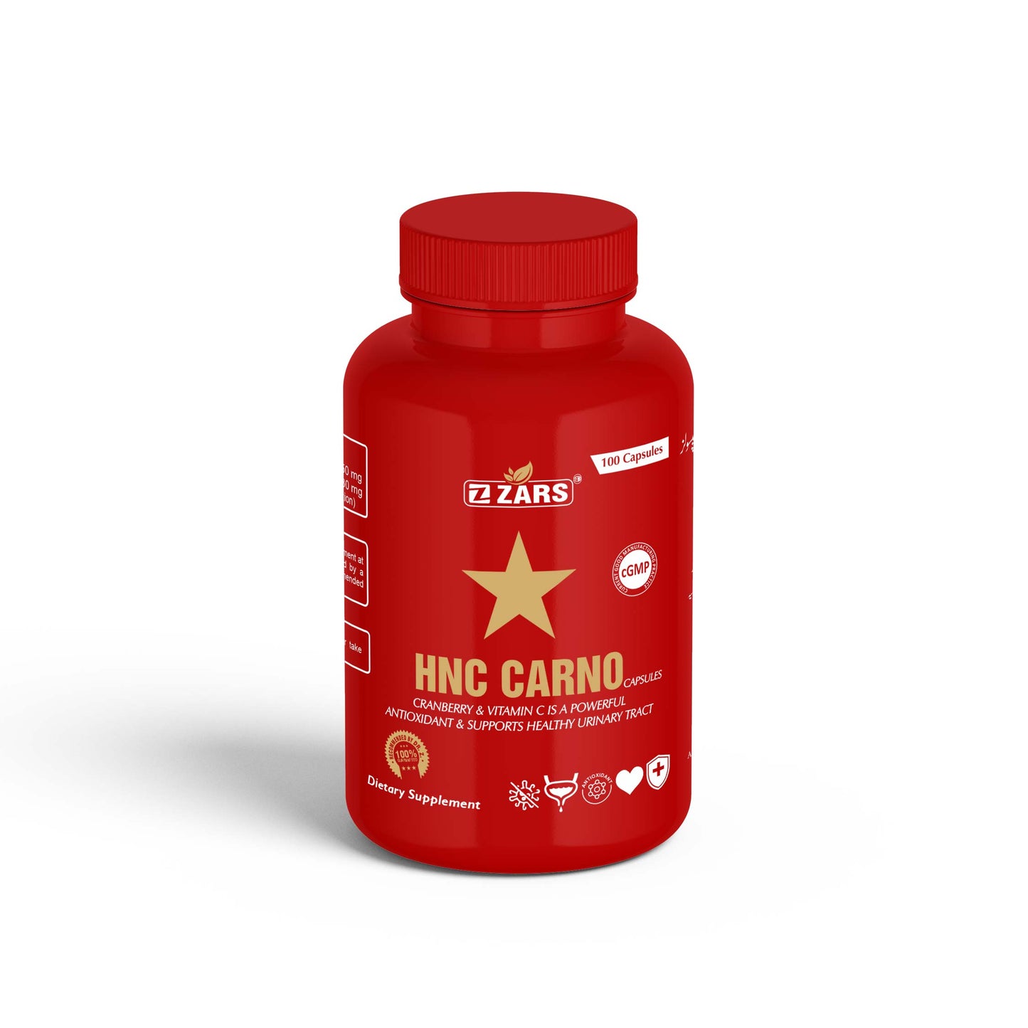 HNC CARNO