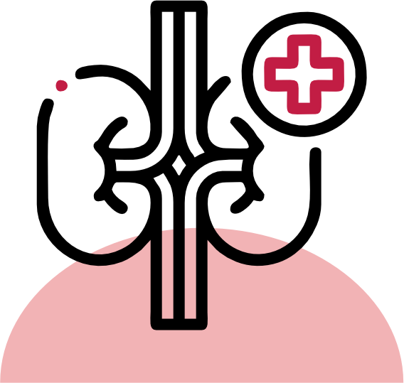 Urinary Tract Health